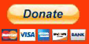 "PayPal - The safer, easier way to donate online!"